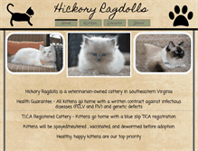 Tablet Screenshot of hickoryrags.com